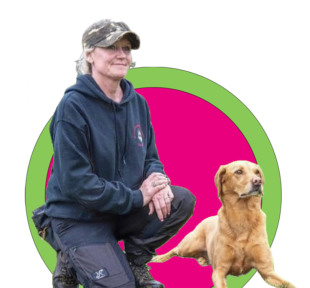 Dog Training in Hampshire